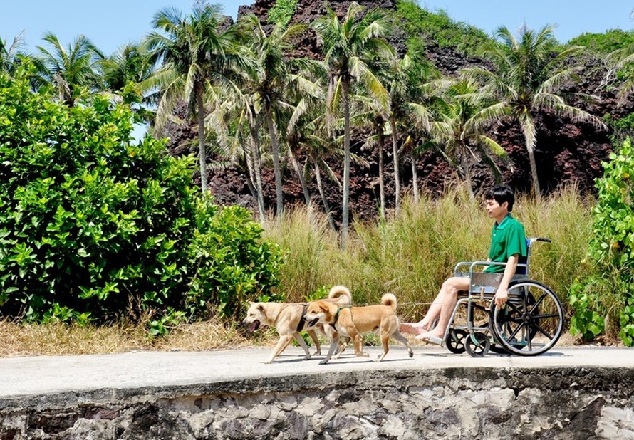 Những chú chó kéo xe lăn chở anh Huệ đã không còn xa lạ với người dân đảo Bé
