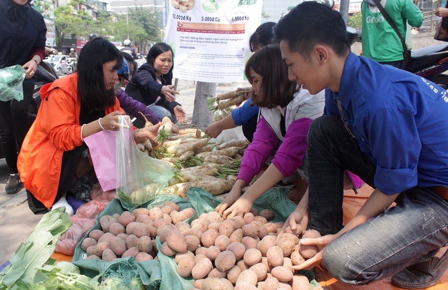 Hà Nội: Người trẻ 'giải cứu' hàng tấn nông sản 