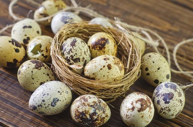 Trứng cút có hàm lượng vitamin A cao gấp 2,5 lần trứng gà
