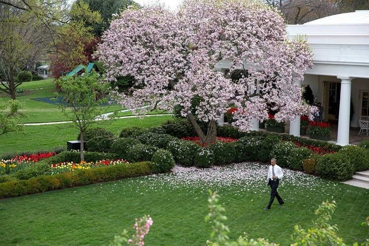 Những khu vườn bí mật trong khuôn viên Nhà Trắng