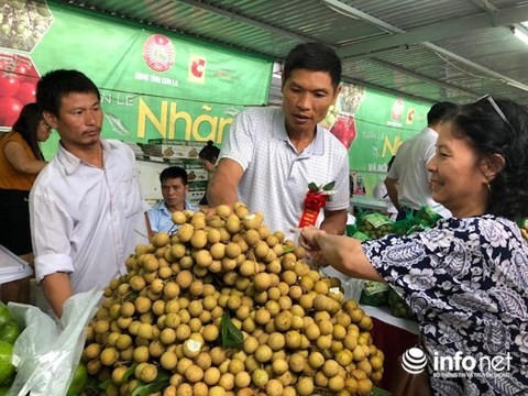 Người Hà Nội đội mưa đi mua nhãn Sơn La