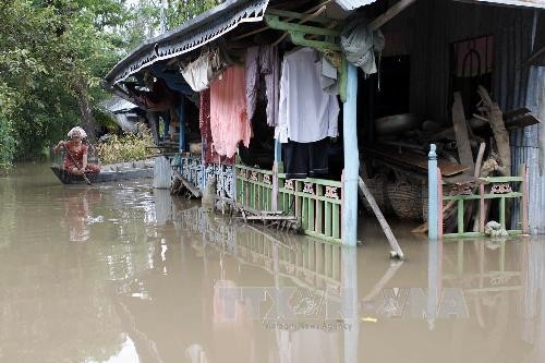 Những ngôi nhà ngập trong nước lũ tại xã Vĩnh Hòa, Tân Châu (An Giang) . Ảnh: Thanh Tùng/TTXVN