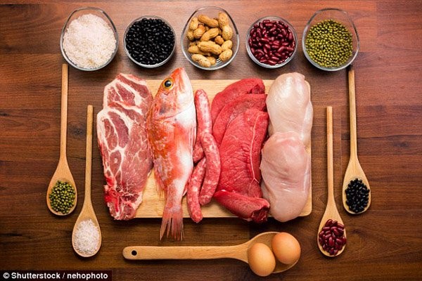 Chế độ ăn thiếu đạm, protein có thể gây suy yếu tinh trùng nghiêm trọng