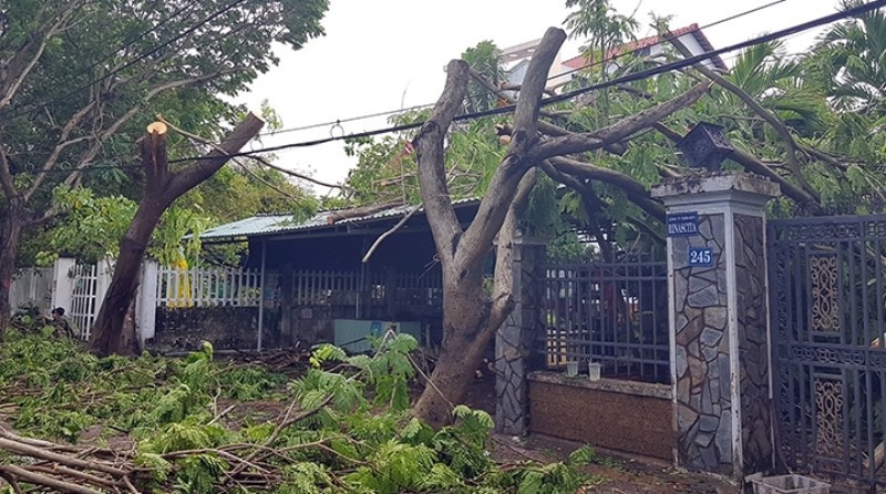 TP Hồ Chí Minh tập trung khắc phục thiệt hại sau bão số 9