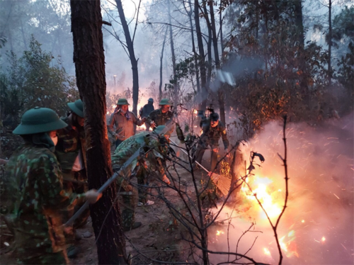 Các cán bộ, chiến sĩ tham gia chữa cháy rừng