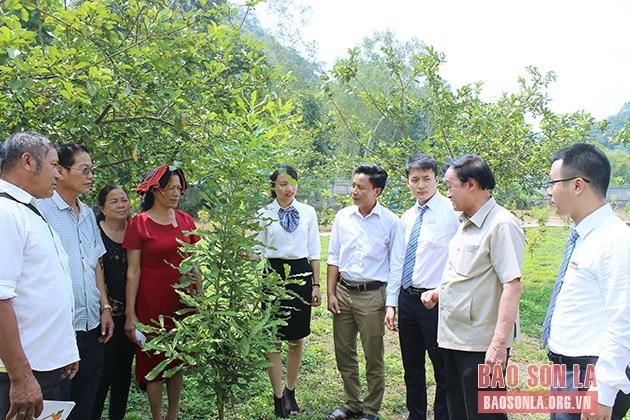 Giáo sư Nguyễn Lân Hùng, Phó Chủ tịch Hiệp hội Mắc ca Việt Nam trao đổi với nông dân Sơn La cách trồng, chăm sóc mắc ca.