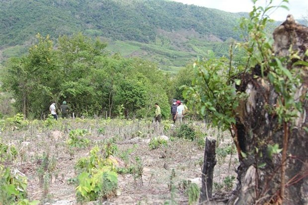Hòa Bình: 49 hộ dân xã vùng cao mỏi mòn chờ cấp Giấy chứng nhận quyền sử dụng đất lâm nghiệp