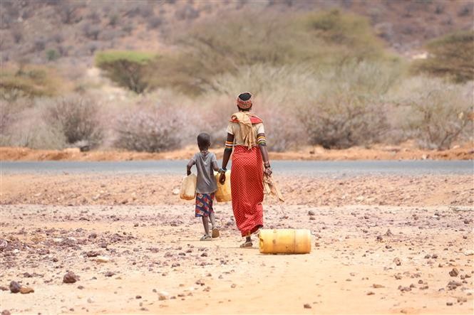 Liên hợp quốc cảnh báo tác động của khô hạn tại vùng Sừng châu Phi