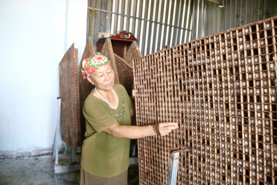 Các thành viên Hợp tác xã Dịch vụ nông nghiệp Dâu tằm tơ Hòa Lễ (thôn 11, xã Hòa Lễ, huyện Krông Bông) vẫn hoạt động sản xuất đơn lẻ.