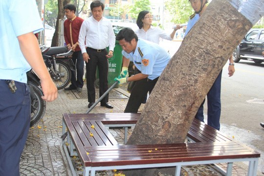 Ông Đoàn Ngọc Hải, Phó chủ tịch UBND quận 1, chỉ đạo lực lượng chức năng tháo dỡ một chiếc ghế "đóng khung" quanh gốc cây.