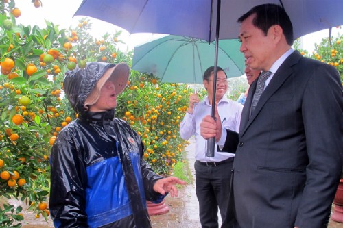  Ông Huỳnh Đức Thơ (bìa phái) cầm ô đến động viên người bán hoa Tết giữa trời mưa lớn. Ảnh: Ngọc Trường.