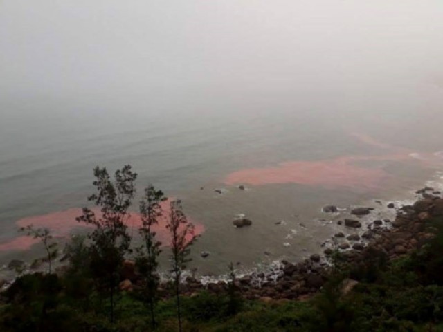 Dải nước màu đỏ xuất hiện gần bờ biển Lăng Cô. Ảnh: N.D.