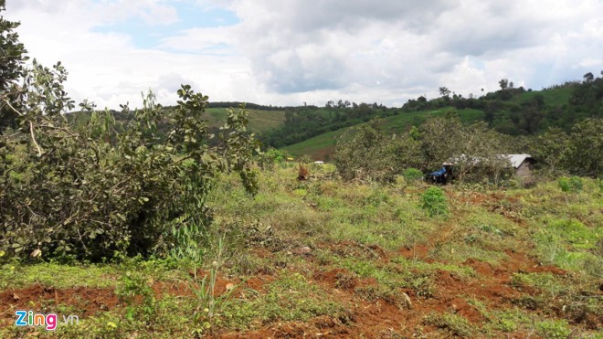 Kỷ luật nhiều người vụ cấp đất rừng cho nguyên thường vụ tỉnh uỷ
