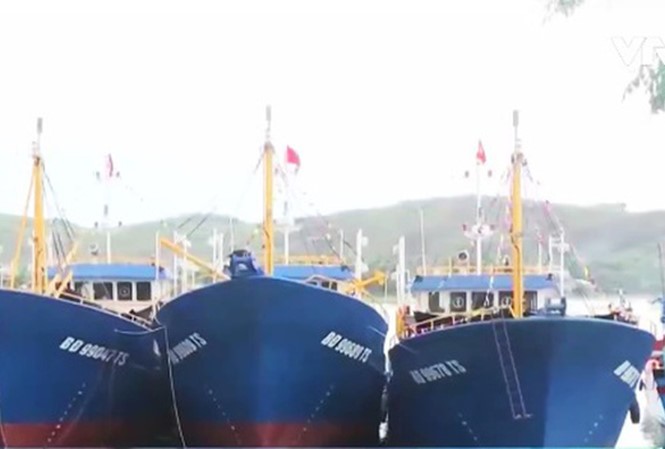 Phó Thủ tướng yêu cầu kiểm tra các cơ sở đóng mới tàu cá vỏ thép
