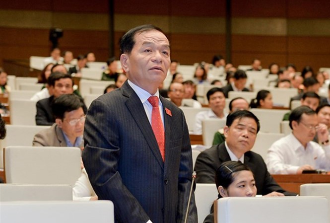 Đại biểu Quốc hội Lê Thanh Vân.
