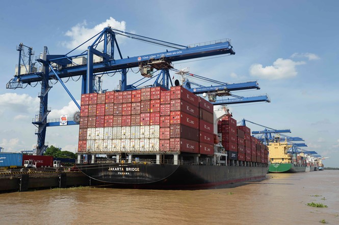 Hoạt động xuất nhập khẩu tại cảng Cát Lái, TP.HCM