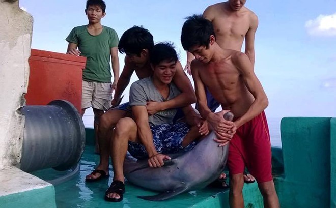5 ngư dân trèo lên mình cá heo để đùa giỡn. Ảnh: Facebook.