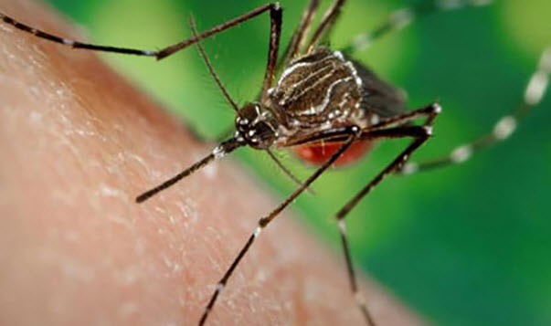 Người đầu tiên ở Bà Rịa - Vũng Tàu nhiễm virus Zika