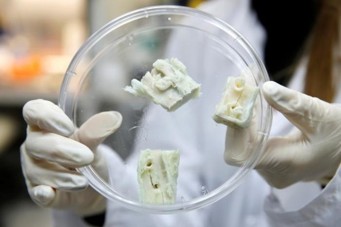 Loại xương phát triển trong phòng thí nghiệm, lấy từ tế bào gốc ở mỡ người - Ảnh: Reuters
