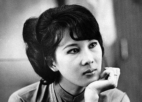 Đặng Tuyết Mai sinh năm 1942, Xuất thân trong một gia đình gia giáo ở Bắc Ninh, thời thơ ấu Tuyết Mai sống ở Hà Nội. Năm 1953, bà theo bố mẹ vào Nam, định cư ở Đà Lạt, học tại trường Yersin Đà Lạt.