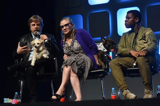 Carrie Fisher bên cạnh Mark Hamill và John Boyega tại sự kiện Star Wars Celebration 2016 tại London, Anh hồi mùa hè. Họ đến để chia sẻ về Star Wars VIII, bộ phim dự kiến ra mắt cuối năm 2017. 