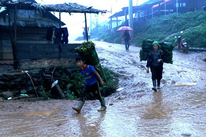 Người dân xã Nậm Càn đi hái lá dong rừng về bán cho thương lái. 