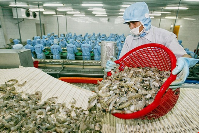 Bộ Công thương đề nghị Úc bãi bỏ lệnh tạm ngừng nhập khẩu tôm chưa nấu chín