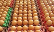 Việt Nam sẽ nhập khẩu trứng và muối từ tháng 4