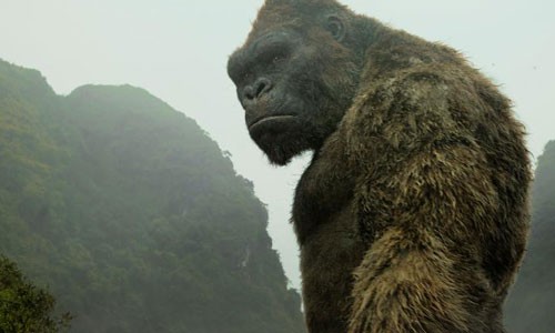 Kong là tác phẩm của Hollywood với nhiều cảnh được quay ở Việt Nam.