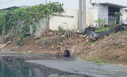 Nhiều xưởng công nghiệp vẫn xả thải trực tiếp ra hệ thống mương tiêu tại xã Di Trạch, huyện Hoài Đức.