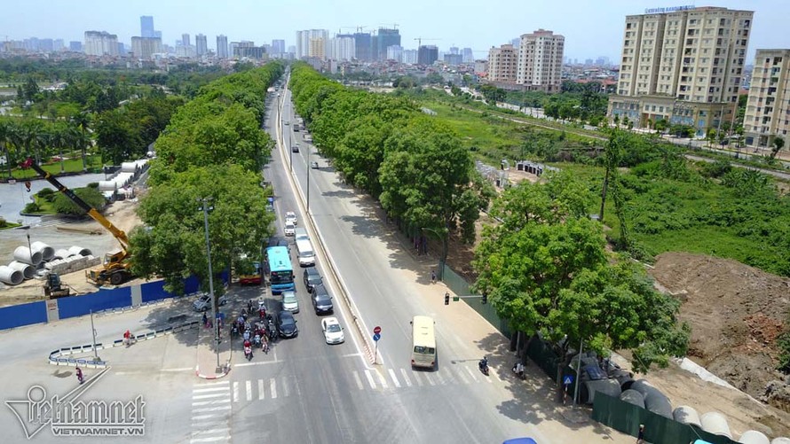 Hàng cây xà cừ trên đường Phạm Văn Đồng sắp bị chặt hạ, di dời để làm công trình giao thông