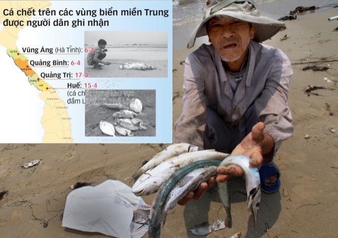 Ông Nguyễn Hữu Thành (60 tuổi, xã Lộc Thủy, huyện Phú Lộc, tỉnh Thừa Thiên - Huế) với cá biển chết dạt vào bờ