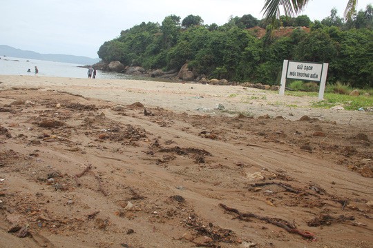 Khối lượng bùn đấy lớn đổ ra biển, khiến khu vực này bị ô nhiễm.