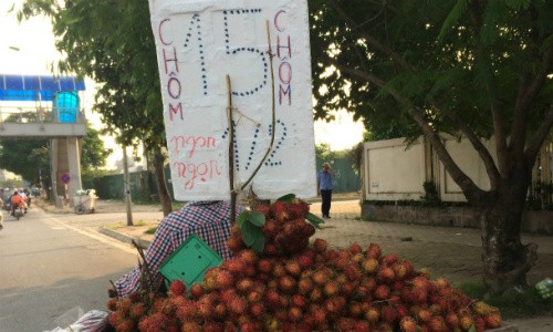 Bảng giá niêm yết theo 1/2 kg nhằm "đánh lừa" người mua của dân buôn hoa quả vỉa hè. 