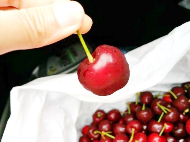 Cherry Úc chính thức được vào Việt Nam