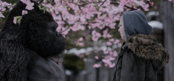 Fox muốn War for the Planet of the Apes giành được nhiều đề cử Oscar hơn so với hai tập trước của loạt phim tái khởi động thương hiệu Hành tinh khỉ. Ảnh: Fox.