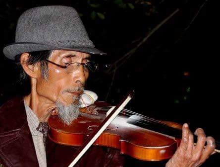 Nghệ sĩ Violin đường phố ở Hải Phòng qua đời do tai nạn giao thông