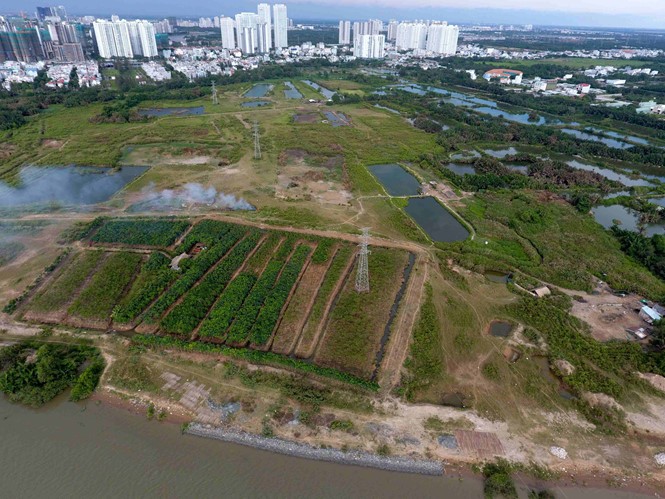 Khu đất rộng hơn 30ha tại xã Phước Kiển, H.Nhà Bè bán không qua đấu giá với giá 1,29 triệu đồng/m2 cho Công ty CP Quốc Cường Gia Lai. Ảnh: Thanh Niên