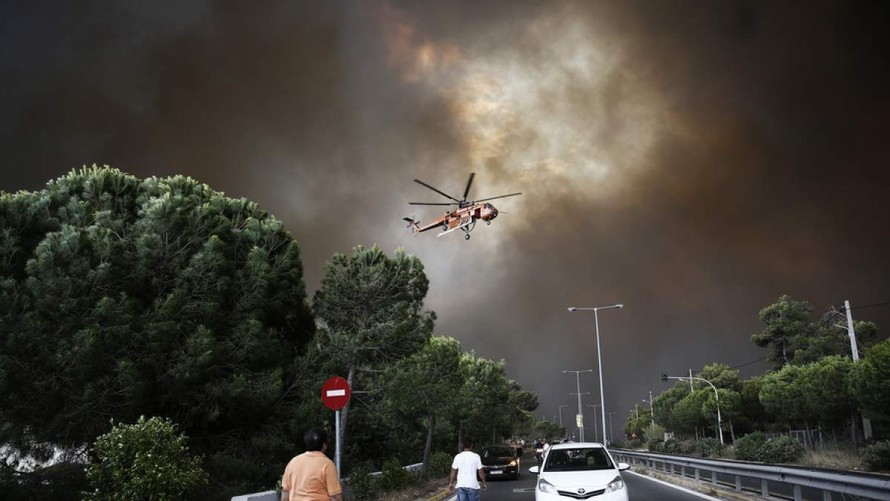 [Ảnh]: Cháy rừng tại thủ đô Athens của Hy Lạp khiến 20 người thiệt mạng
