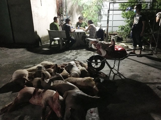 Làm rõ đường dây giết mổ, mua bán lợn bệnh tại Đồng Nai