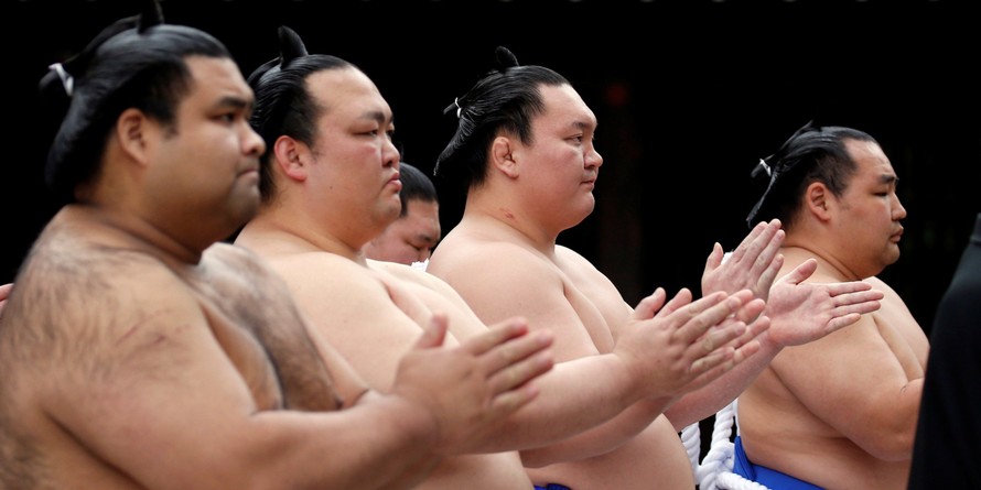Bí quyết để các đô vật sumo không mắc các triệu chứng béo phì