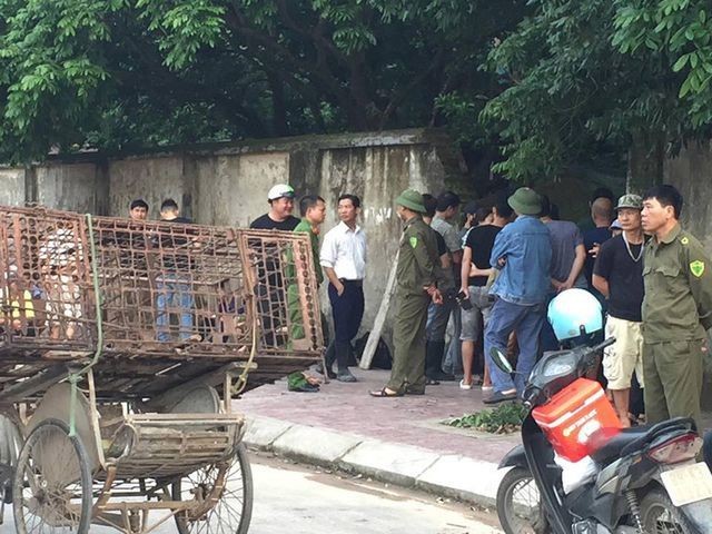 Lực lượng chức năng tới bắt giữ đàn chó. Ảnh: VTC News