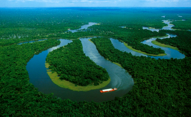 Trái đất mất 129 triệu km2 rừng nhiệt đới mỗi năm