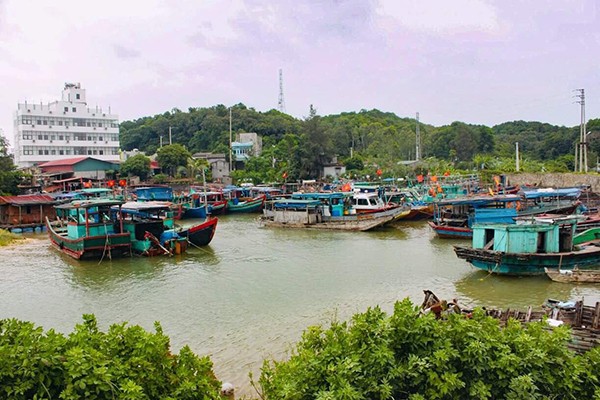 Tàu thuyền neo đậu tránh bão số 2 tại Cẩm Phả (Quảng Ninh). Ảnh: VietNamNet