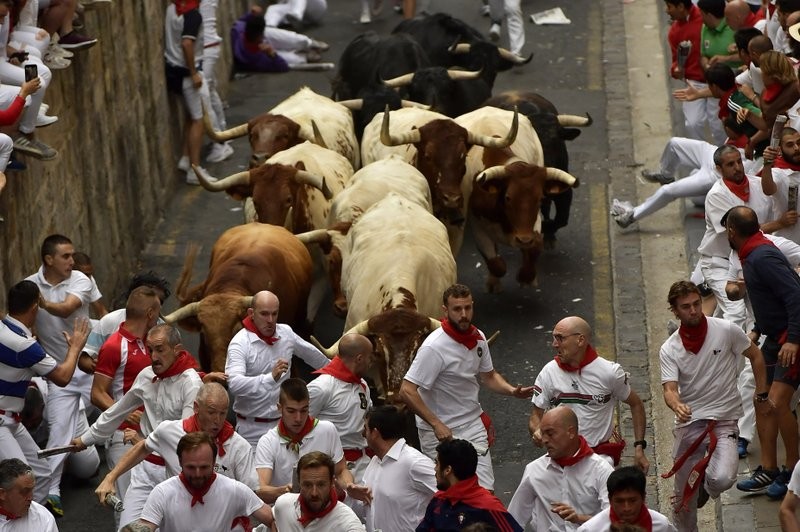 Năm người nhập viện sau khi tham dự lễ hội với chạy đua bò tót tại Tây Ban Nha