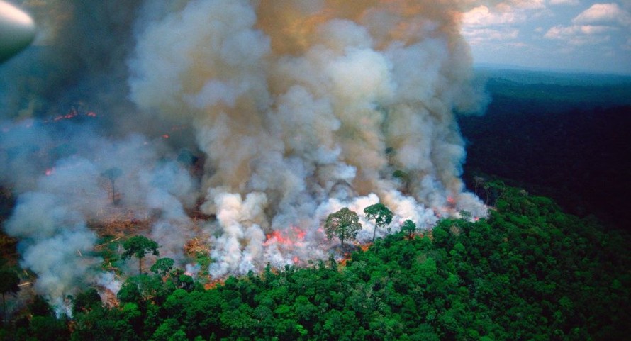 Tổng thống Brasil chỉ ra nguyên nhân gây cháy rừng Brasil
