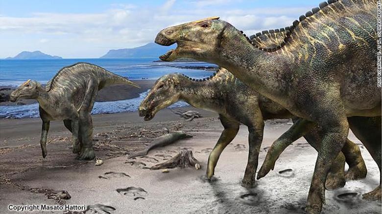 Phát hiện loài khủng long mỏ vịt độc nhất tại Nhật Bản