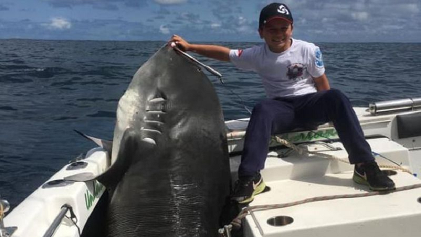 Cậu bé 8 tuổi câu được cá mập hổ nặng kỷ lục