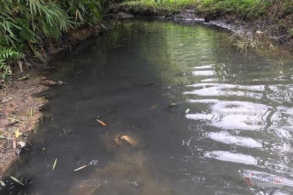 Bắt giữ 2 nghi phạm đổ chất thải ra nguồn nước sông Đà