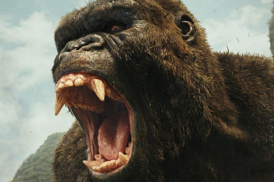 Phát hiện loài linh trưởng khổng lồ là nguyên mẫu của 'King Kong'
